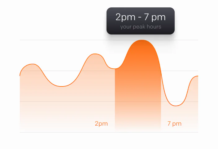 This image shows a bar chart of the website traffic for the month.